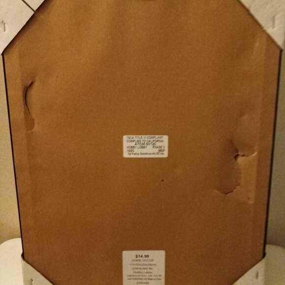 Golden Retriever Dog with Headset Framed Wall Art 🐾 - Picture 6 of 6